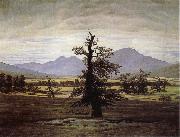 Caspar David Friedrich The Lone Tree painting